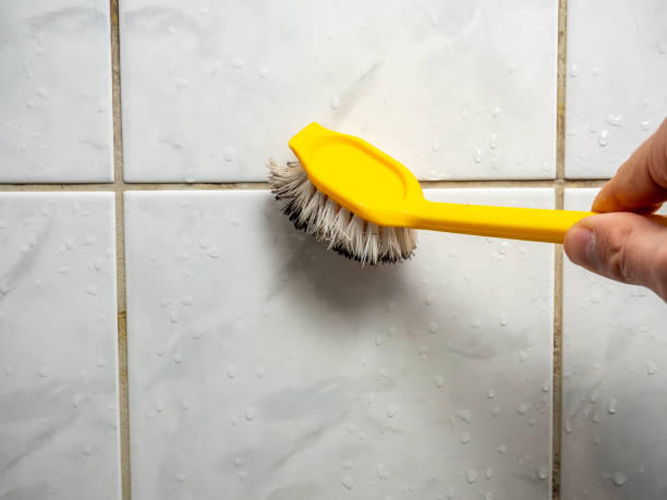 Best Mold Removal Near Me  in Chleston, AR