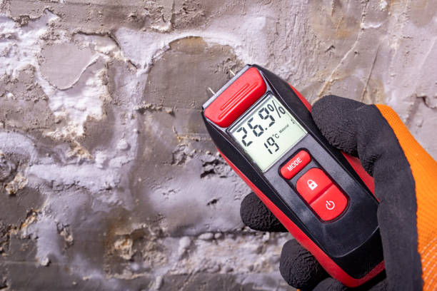Best Toxic Mold Removal  in Chleston, AR