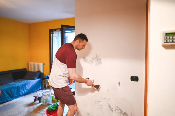 Best Home Mold Removal  in Chleston, AR