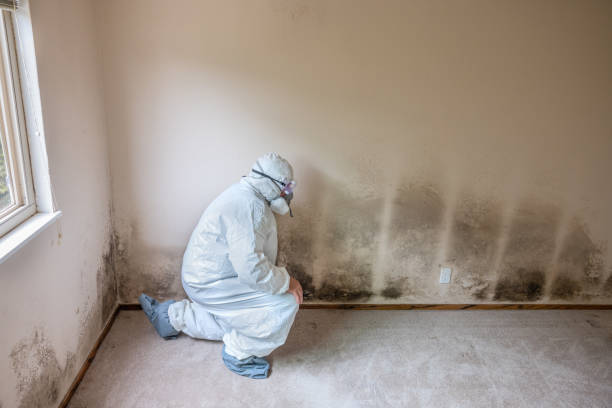 Water Damage Restoration in Charleston, AR